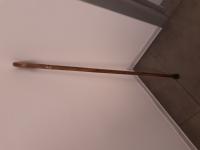 CS 1232/2025 WALKING STICK